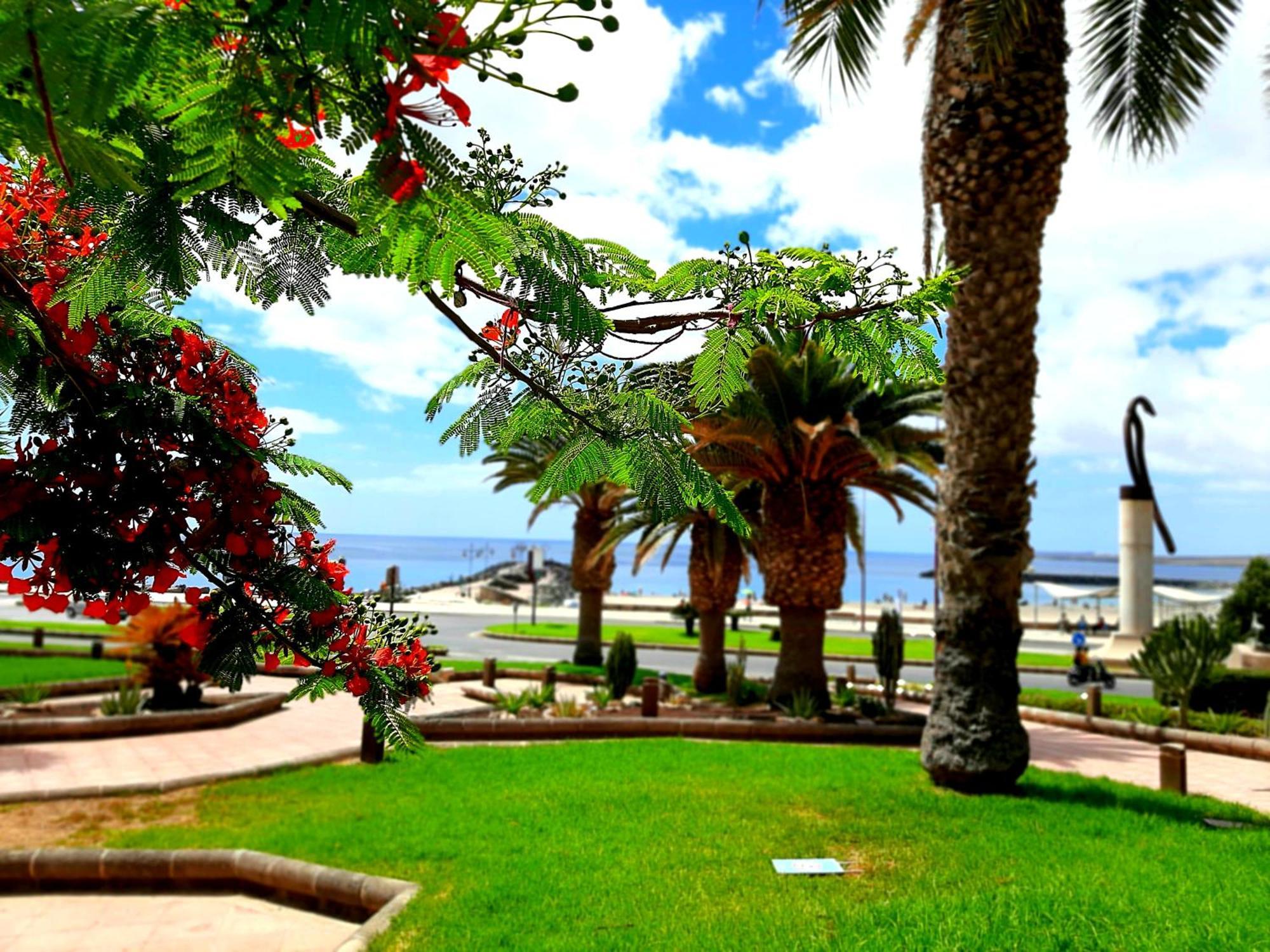 El Bounty De Playa Chica Villa Puerto del Rosario  Oda fotoğraf